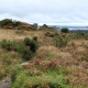 20_Roch_Trevezel