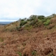 28_Roch_Trevezel